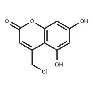 DNA polymerase-IN-1