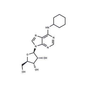 N6-Cyclohexyladenosine