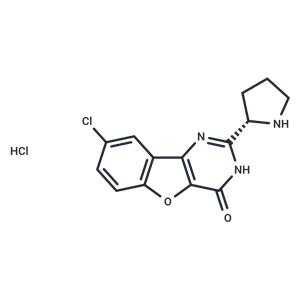 XL413 HCl