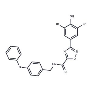 IOWH-032