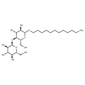 N-Dodecyl-β-D-maltoside