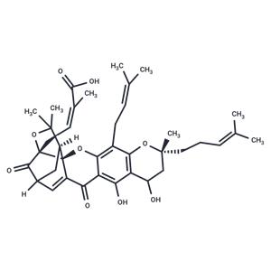 Neogambogic acid