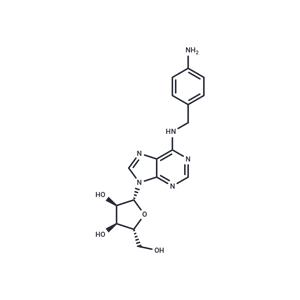 N-[(4-Aminophenyl)methyl]adenosine