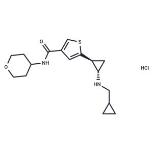 Anticonvulsant agent 10 HCl