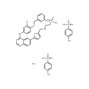 Lapatinib ditosylate monohydrate