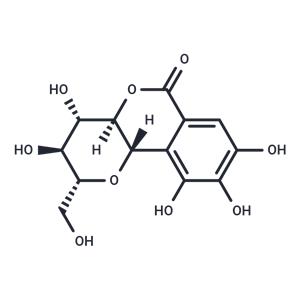 norbergenin