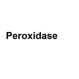 Peroxidase