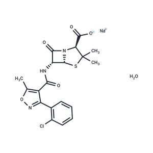 Cloxacillin sodium monohydrate