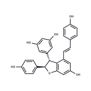 ε-?Viniferin