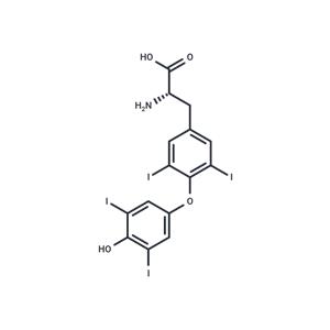 L-Thyroxine