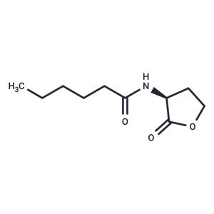 N-hexanoyl-L-Homoserine lactone