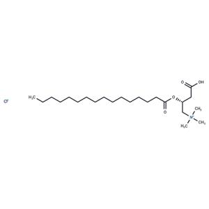 L-Palmitoylcarnitine chloride