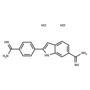 DAPI Dihydrochloride