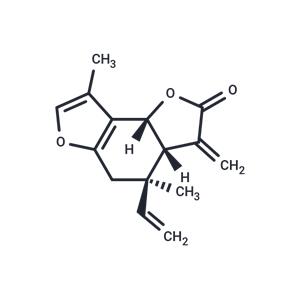 Isolinderalactone