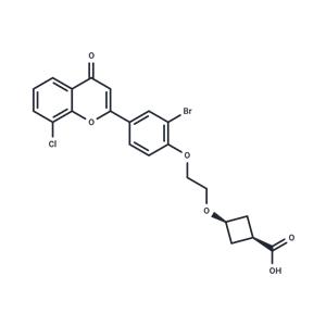 HBV-IN-30