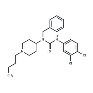 NAcM-OPT