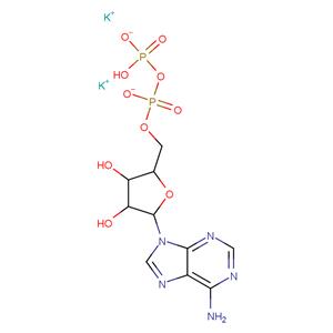 Adenosine 5’-diphosphate dipotassium salt; ADP-K2; 5'-ADP-K2