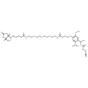 PC Biotin-PEG3-alkyne