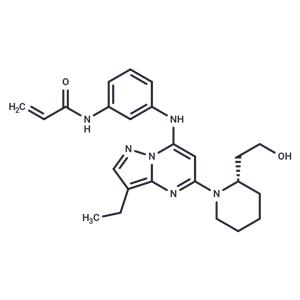 CDK12-IN-E9