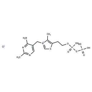 Thiamine pyrophosphate