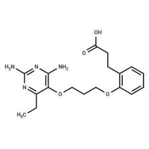 DHFR-IN-5