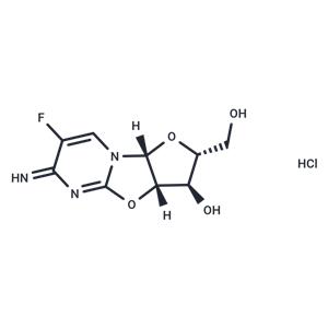 Flurocitabine HCl