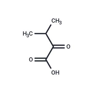 3-Methyl-2-oxobutanoic acid