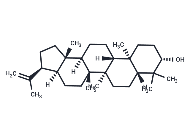 3β-Hydroxy-hop-22(29)-ene