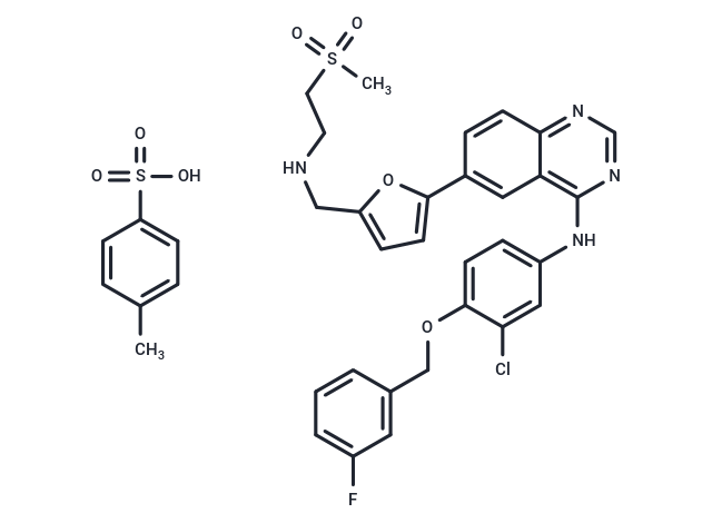 Lapatinib tosylate