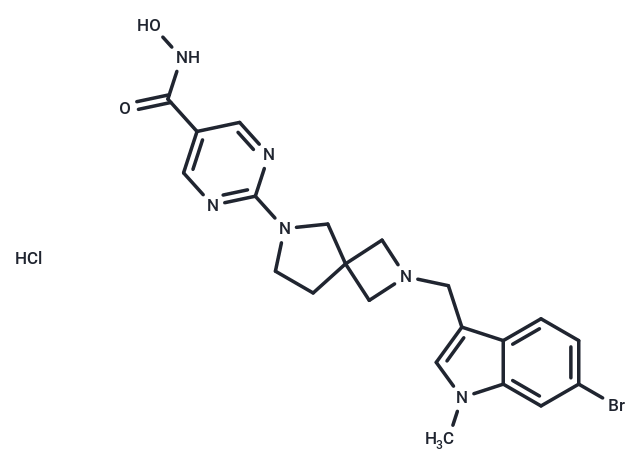 HDAC1-IN-4