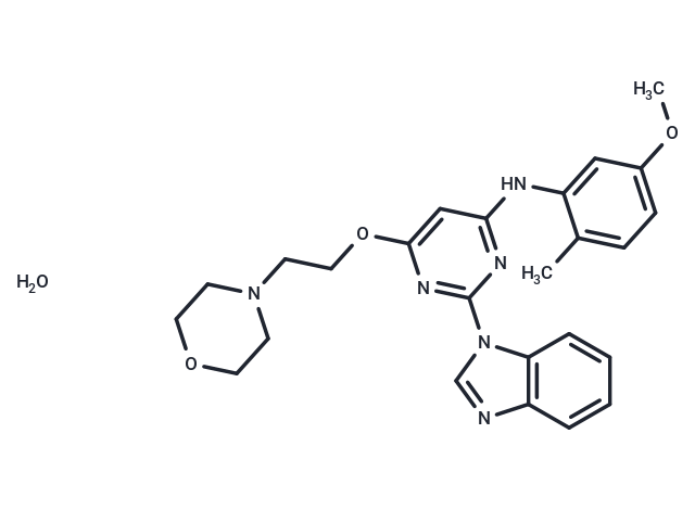 Lck Inhibitor III