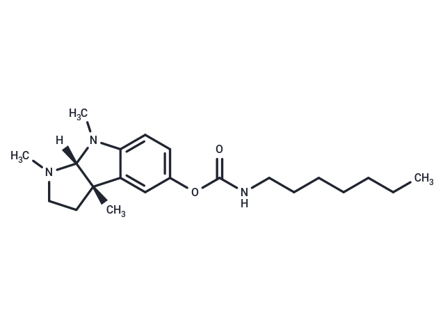 Eptastigmine