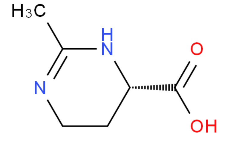 ectoine 