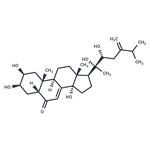 Polyporusterone B