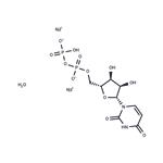 Uridine-5'-diphosphate disodium salt