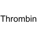 9002-04-4 Thrombin (MW 37kDa)