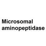 Aminopeptidase M