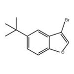 3-bromo-5-tert-butyl-1-benzofuran pictures