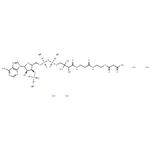 Acetoacetyl Coenzyme A sodium hydrate