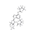 Bucladesine-d14