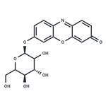 resorufin galactopyranoside