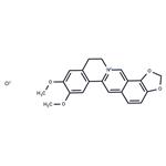 Epiberberine chloride