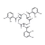 Enterobactin