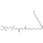 1-Oleoyl-sn-glycero-3-phosphocholine