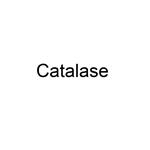 Catalase pictures