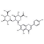 Scutellarin-7-diglucosidic acid