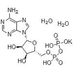 Adenosine 5′-Diphosphate Monopotassium Salt ;ADP-K; 5‘-ADP-K