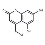 DNA polymerase-IN-1