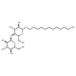 N-Dodecyl-β-D-maltoside