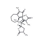 Protostemotinine